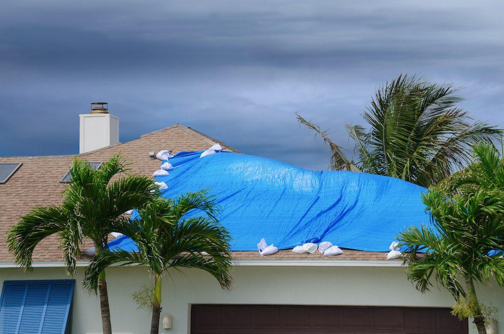 roof with a blue plastic tarp over because of shingle tear off